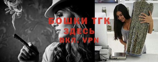 прущие крисы Аркадак
