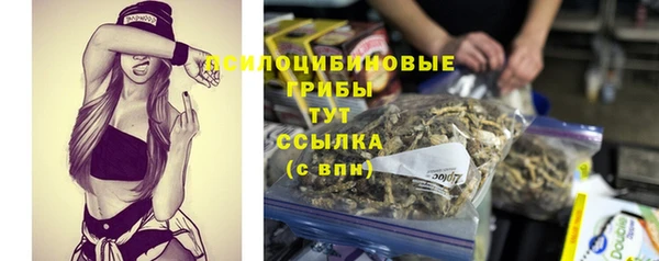 прущие крисы Аркадак