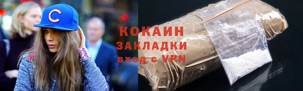соль ск Арсеньев