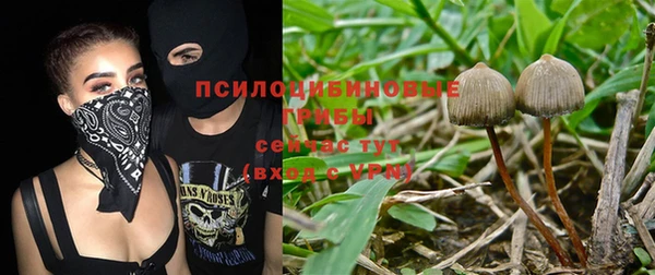 прущие крисы Аркадак