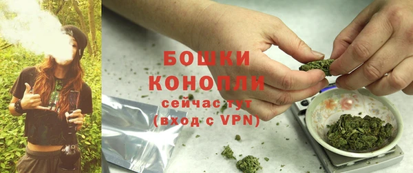соль ск Арсеньев