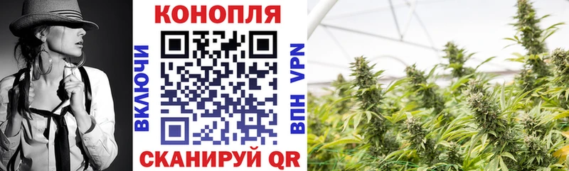 Бошки Шишки гибрид Спас-Клепики